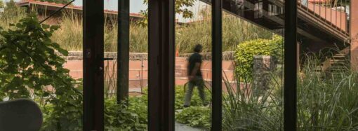 Studio Saransh’s ‘Oasis’ Blends Nature and Design in Ahmedabad’s Quiet Suburbs