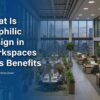What Is Biophilic Design in Workspaces & Its Benefits
